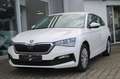 Skoda Scala 1.0 TSI Cool Plus Parktronic Sitzheizung Sitzheizu Weiß - thumbnail 2