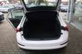 Skoda Scala Scala 1.0 TSI Cool Plus Parktronic Sitzheizung Sit Weiß - thumbnail 13