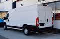 Citroen Jumper Citroën Jumper35 L4H2 140 Klima Navi Kamera Blis Weiß - thumbnail 11