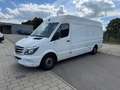 Mercedes-Benz Sprinter 316 CDI Maxi Lang Frischdienst Weiß - thumbnail 1