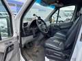 Mercedes-Benz Sprinter 316 CDI Maxi Lang Frischdienst Weiß - thumbnail 9