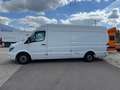 Mercedes-Benz Sprinter 316 CDI Maxi Lang Frischdienst Weiß - thumbnail 3