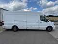 Mercedes-Benz Sprinter 316 CDI Maxi Lang Frischdienst Weiß - thumbnail 4