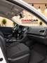 Renault Megane S.T. 1.5dCi Blue Business 85kW Blanco - thumbnail 5