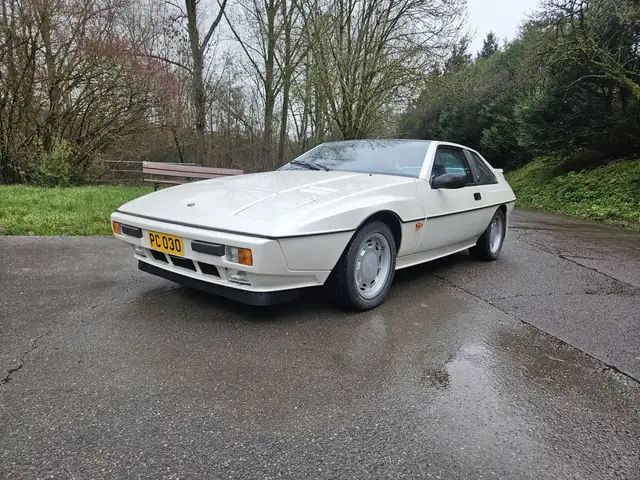 Lotus Excel S.E.