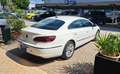 Volkswagen CC 2.0 TDI 140 CV BlueMotion Tech. Bianco - thumbnail 3