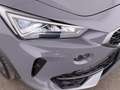 CUPRA Formentor 2.0 TDI 4Drive Aut LED AHK SKY LEDER Grau - thumbnail 12