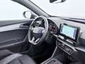 CUPRA Formentor 2.0 TDI 4Drive Aut LED AHK SKY LEDER Grau - thumbnail 14