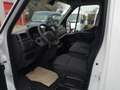 Nissan Interstar 35 2.3 dCi 135CV Acenta Furgone L2H2 Blanc - thumbnail 4