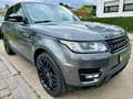 Land Rover Range Rover Sport SD V6 HSE Dynamic *Service NEU Gris - thumbnail 4