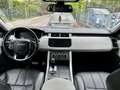 Land Rover Range Rover Sport SD V6 HSE Dynamic *Service NEU Gris - thumbnail 6