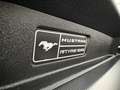 Ford Mustang 2.3 EcoBoost cabrio * 55 years Limited Edition * Noir - thumbnail 16