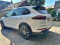 Porsche Cayenne Cayenne S E-Hybrid Platinum Edition Blanc - thumbnail 4