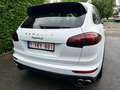 Porsche Cayenne Cayenne S E-Hybrid Platinum Edition Blanc - thumbnail 10