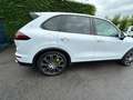 Porsche Cayenne Cayenne S E-Hybrid Platinum Edition Blanc - thumbnail 20