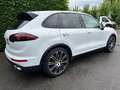 Porsche Cayenne Cayenne S E-Hybrid Platinum Edition Blanc - thumbnail 14