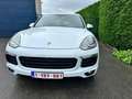 Porsche Cayenne Cayenne S E-Hybrid Platinum Edition Blanc - thumbnail 9