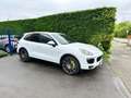 Porsche Cayenne Cayenne S E-Hybrid Platinum Edition Blanc - thumbnail 22