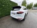 Porsche Cayenne Cayenne S E-Hybrid Platinum Edition Blanc - thumbnail 16