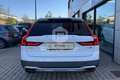Volvo V90 V90 Cross Country D5 AWD Geartronic Pro Bianco - thumbnail 5