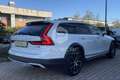 Volvo V90 V90 Cross Country D5 AWD Geartronic Pro Bianco - thumbnail 6