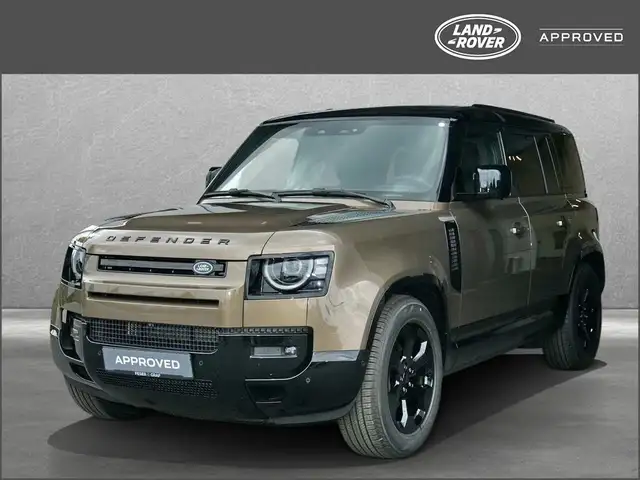 Land Rover Defender 110 D250 X Dynamic SE AHK PANO Winter