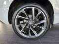 Skoda Karoq 2.0 TDI Sportline 4x4|Standhzg|Pano|LM19 Gris - thumbnail 30