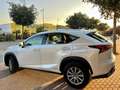 Lexus NX 300 300h Business Navigation 2WD White - thumbnail 6