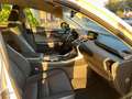 Lexus NX 300 300h Business Navigation 2WD Bianco - thumbnail 12