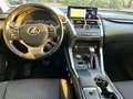 Lexus NX 300 300h Business Navigation 2WD Weiß - thumbnail 9