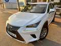 Lexus NX 300 300h Business Navigation 2WD Blanco - thumbnail 2