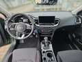 Kia Ceed / cee'd Ceed 1.5 T-GDI Spirit ACC FLA SpurH SpurW LED Grün - thumbnail 10