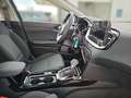 Kia Ceed / cee'd Ceed 1.5 T-GDI Spirit ACC FLA SpurH SpurW LED Grün - thumbnail 15