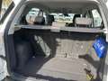 Ford EcoSport Trend Weiß - thumbnail 9