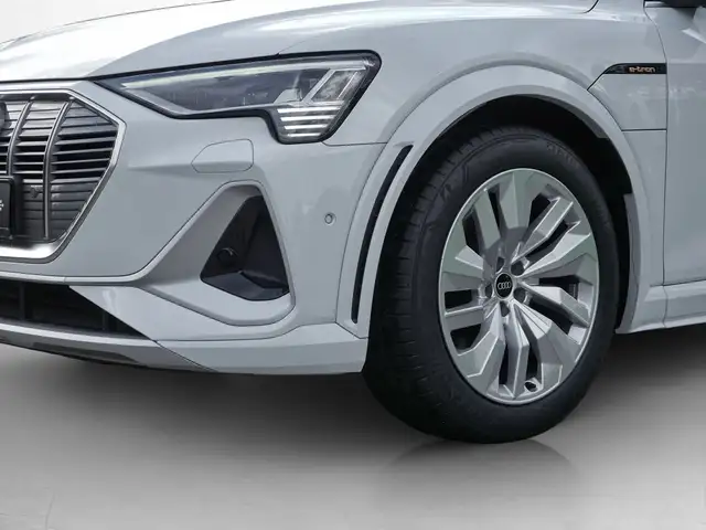 Audi E-Tron view 14