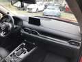 Mazda CX-5 SKYACTIV-G194 Sports-line, Leder, 360°Kamera,Headu Rouge - thumbnail 12