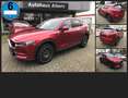 Mazda CX-5 SKYACTIV-G194 Sports-line, Leder, 360°Kamera,Headu Rouge - thumbnail 1