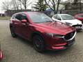 Mazda CX-5 SKYACTIV-G194 Sports-line, Leder, 360°Kamera,Headu Rouge - thumbnail 14