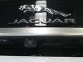 Jaguar XF 2.0D I4 132kW (180CV) R-Sport Auto Negro - thumbnail 7