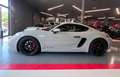 Porsche 718 4.0 GTS pdk - thumbnail 8