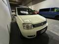 Fiat Panda Panda II 2003 1.2 Climbing 4x4 Bianco - thumbnail 3