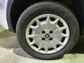 Fiat Panda Panda II 2003 1.2 Climbing 4x4 Blanc - thumbnail 14