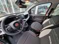 Fiat Panda Pandina MY25 1.0 GSE Hybrid 51kw (70PS) Rood - thumbnail 7
