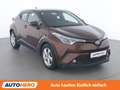 Toyota C-HR 1.8 Hybrid C-ENTER Braun - thumbnail 8