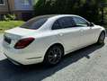 Mercedes-Benz C 250 d LED*Distr.*Pano*HuD*Burm.*Comand*RFK Weiß - thumbnail 5