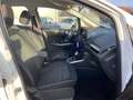 Ford EcoSport Cool Navi AHK/Abnehmbar Blanc - thumbnail 18