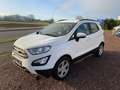 Ford EcoSport Cool Navi AHK/Abnehmbar Blanc - thumbnail 3