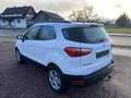 Ford EcoSport Cool Navi AHK/Abnehmbar Blanc - thumbnail 7