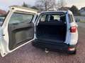 Ford EcoSport Cool Navi AHK/Abnehmbar Blanc - thumbnail 9