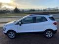 Ford EcoSport Cool Navi AHK/Abnehmbar Blanc - thumbnail 4